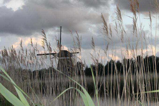 Traditional Dutch mill close to the camping